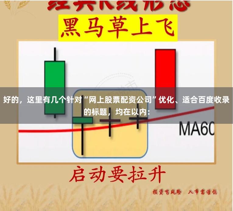 好的，这里有几个针对“网上股票配资公司”优化、适合百度收录的标题，均在以内：