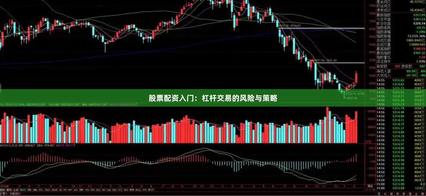 股票配资入门：杠杆交易的风险与策略