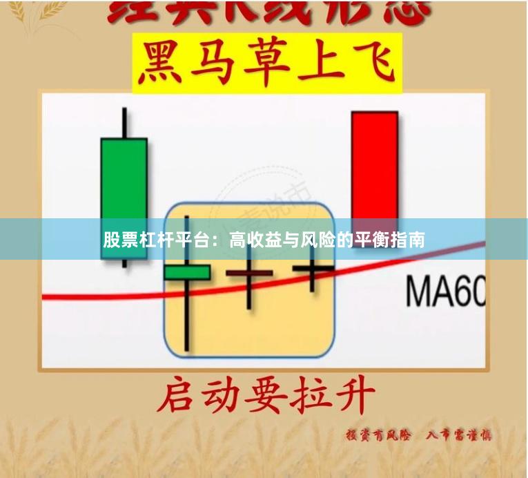 股票杠杆平台：高收益与风险的平衡指南