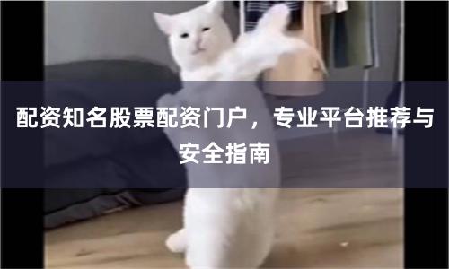 配资知名股票配资门户，专业平台推荐与安全指南
